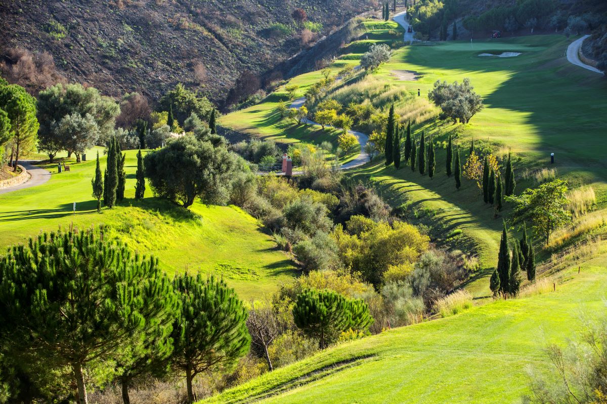 Greenery and trees decorating the fairways of Alferini Golf Course
