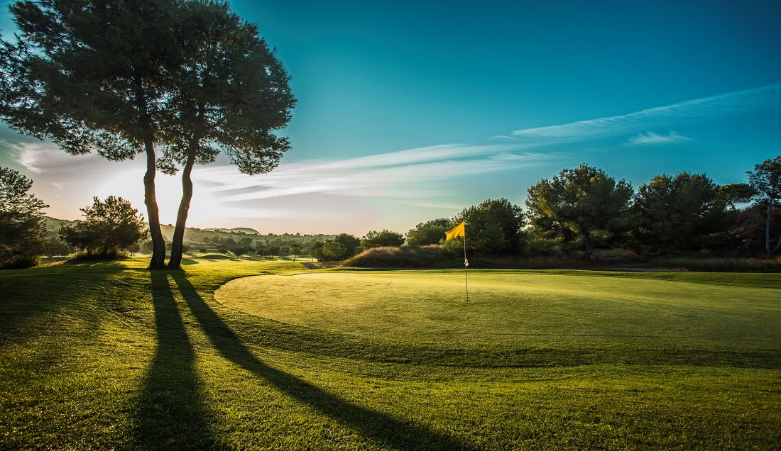 Tree to the left of the golf course at Alenda Golf
