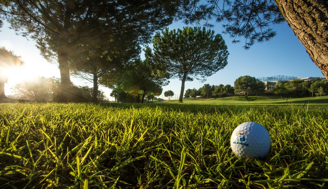 Golf ball sat on the fairway at Alenda Golf Club