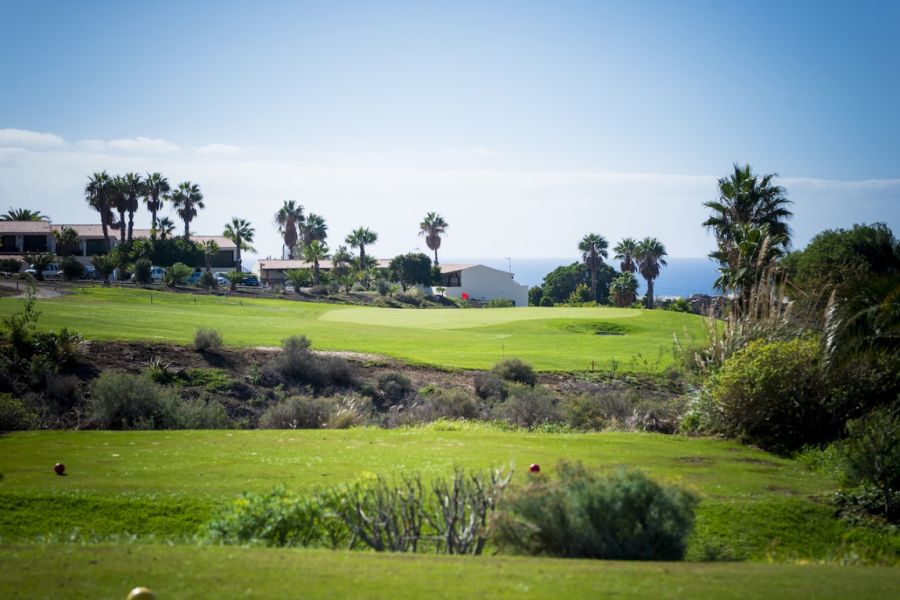 Lush green grass on the Amarilla Golf Course