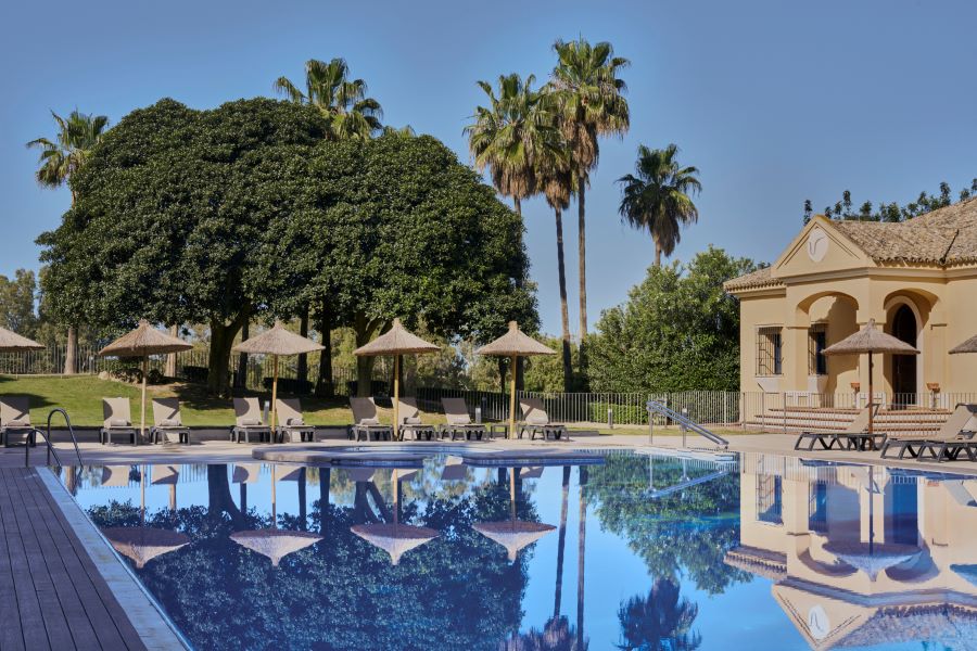 Palm trees behind sunbathing area next to the outdoor pool at Barcelo Montecastillo Golf Resort