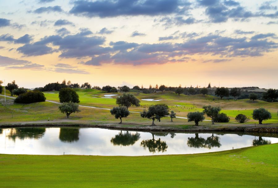 Lake with trees over the golf course at Montecastillo