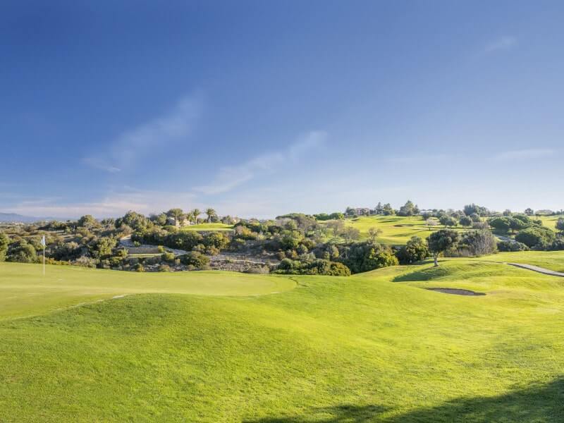 Green and fairway at Boavista Golf Course with trees in the background
