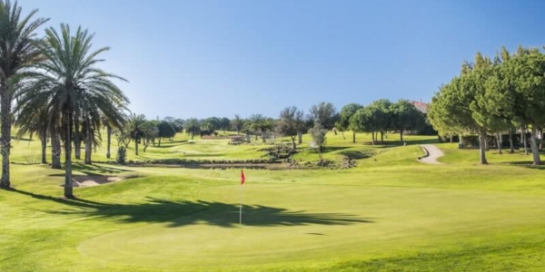 Palm trees surrounding the green at Boavista Golf Resort And Spa