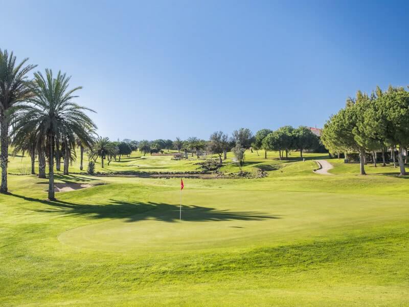 Palm trees surrounding the green at Boavista Golf Resort And Spa