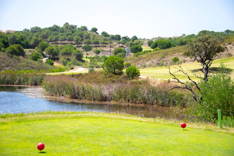 Red tee markers on tee box at Castro Marim Golf & Country Club