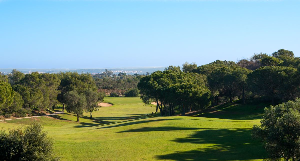 Blue sky over the golf course with large green trees protecting the fairways