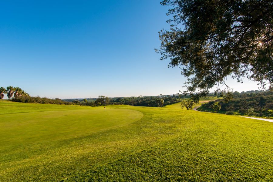 Lush green grass on edge of the fairway with tree overhanging at Castro Marim golf course