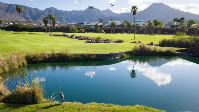 Lake in front of Costa Adeje Golf Club with mountains and palm trees in the distance