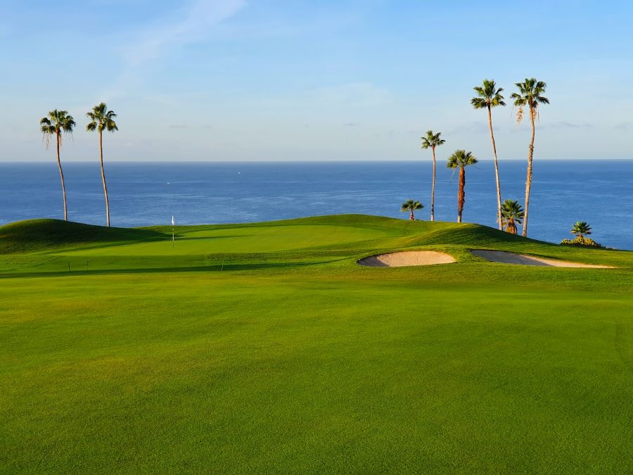Palm trees around the green at Costa Adeje golf club