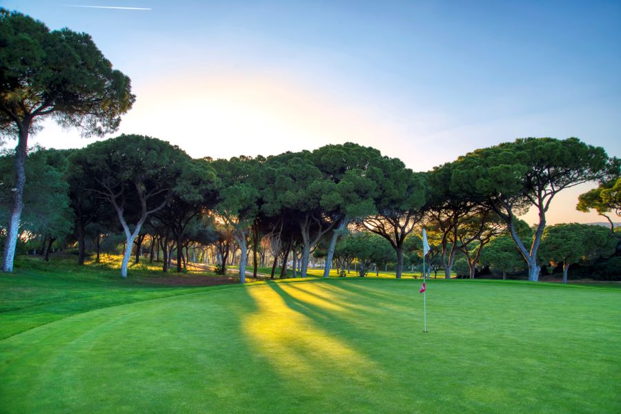 Trees surrounding putting green at Dom Pedro Golf Old Course in Vilamoura