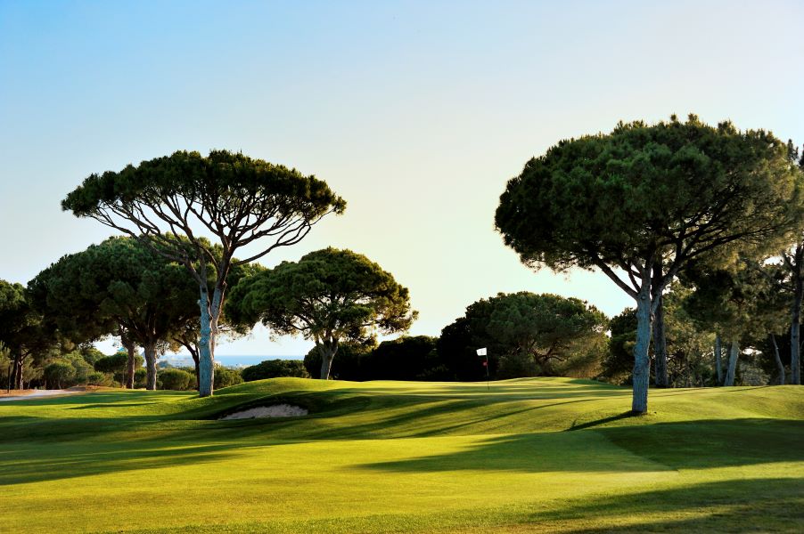 Trees behind the raised putting green at Dom Pedro Pinhal Golf Course in Vilamoura