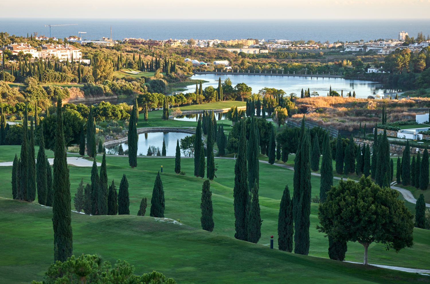 Trees on the golf course at Flamingos Golf