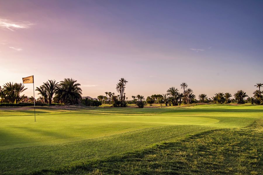 Sunset purple sky across Golf Club Palmeraie Rotana in Morocco