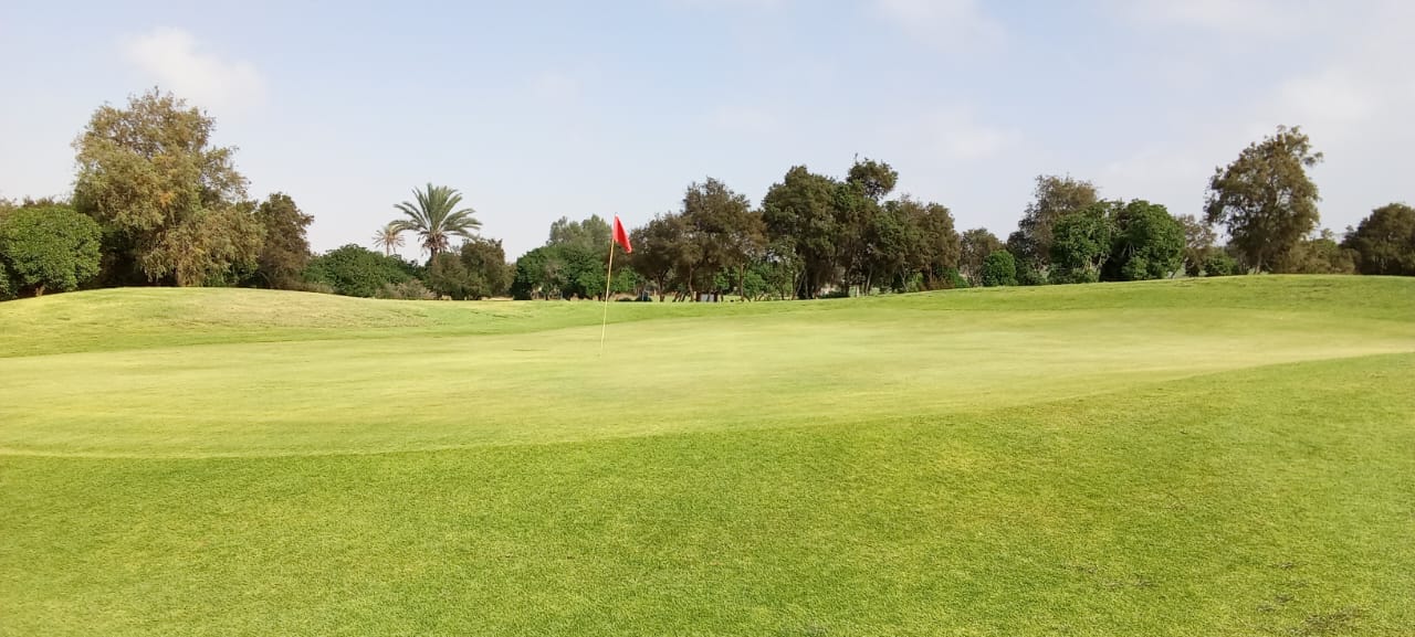 Putting green with red flag with trees in the background at Golf De L'Ocean in Agadir