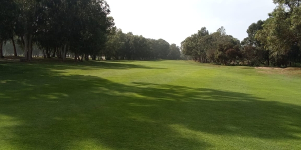 Fairway surrounded by trees at Golf De L'Ocean in Agadir