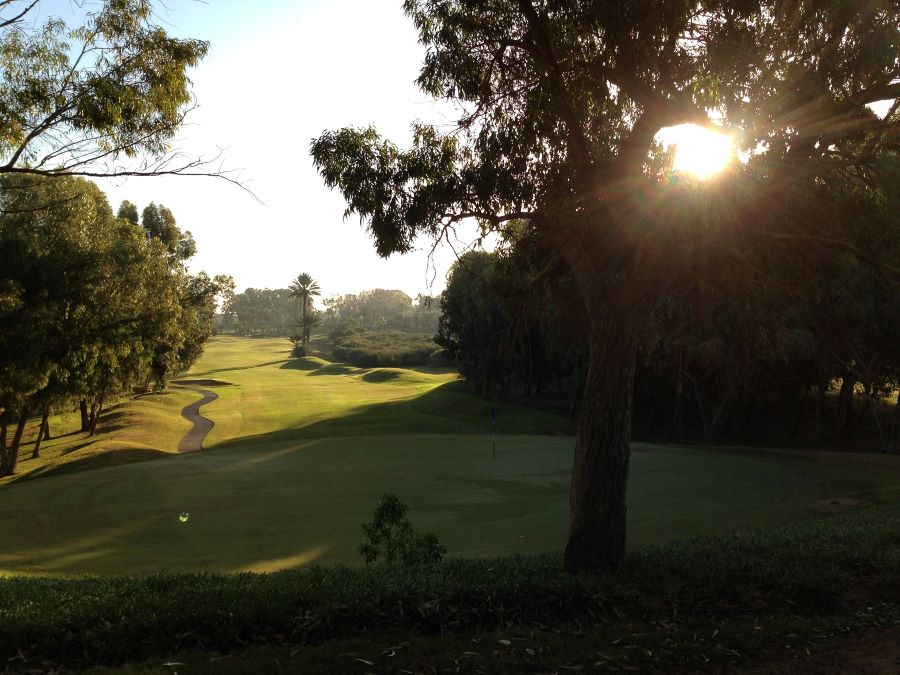 Sunlight coming through the trees at Golf Le Soleil