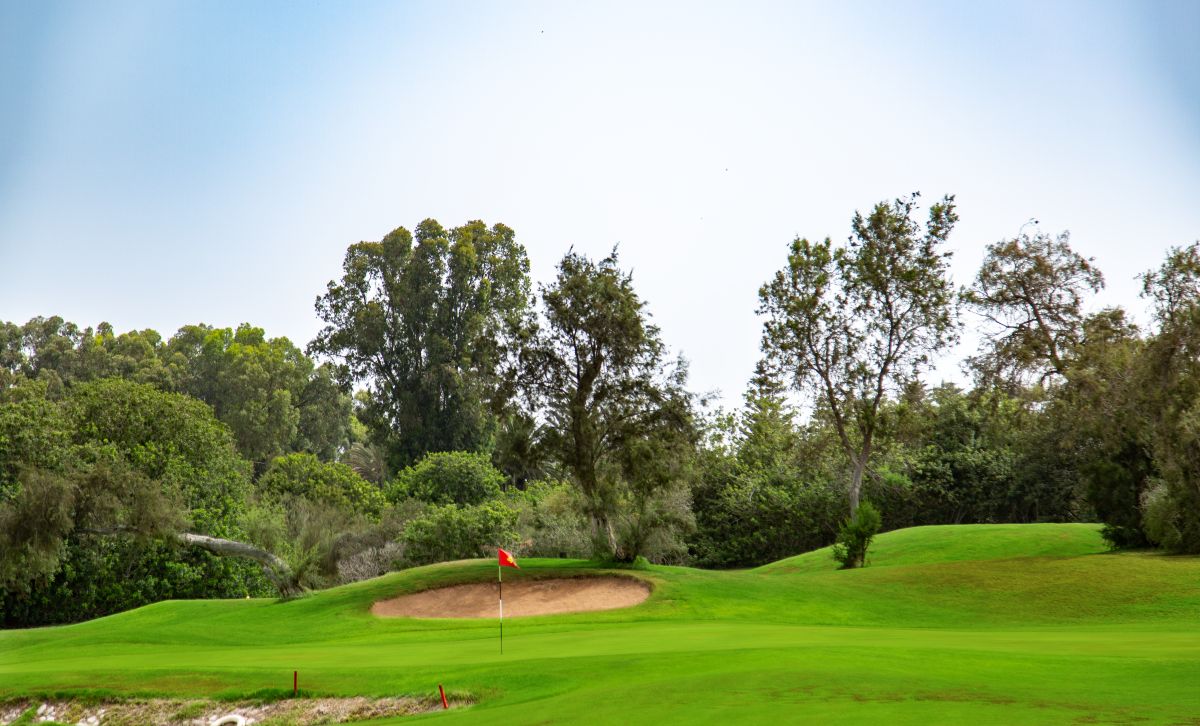 Trees behind the putting green with red flag at Golf Les Dunes