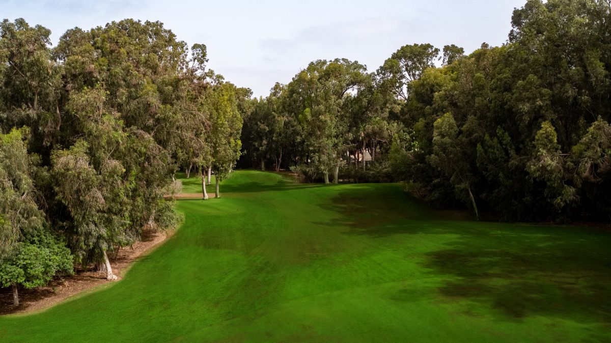 Trees behind the fairways at Golf Les Dunes in Morocco