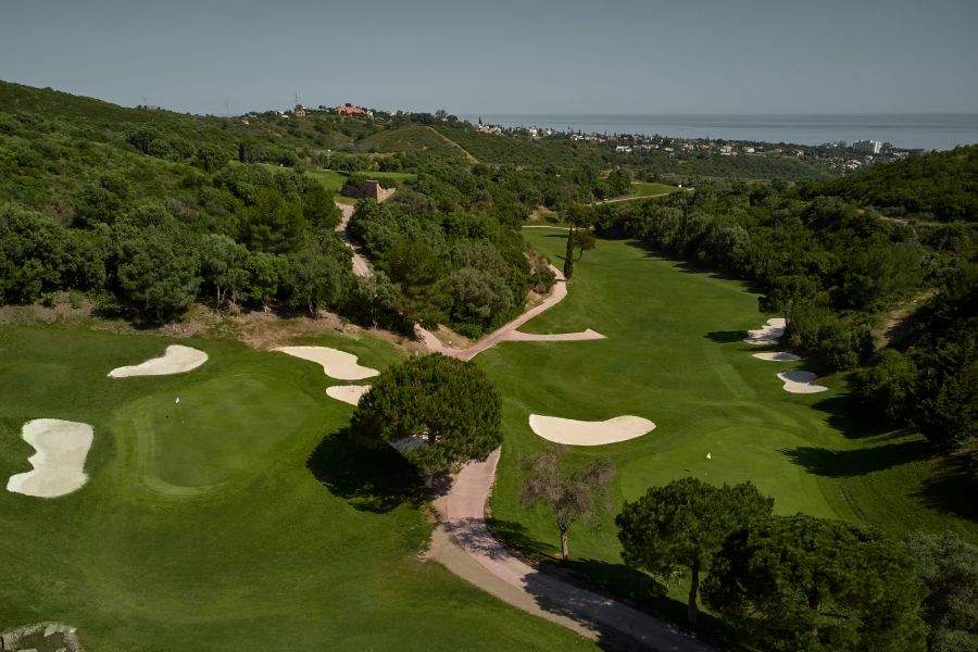 Large green trees surrounding the golf course at Higuerón Marbella Golf Resort