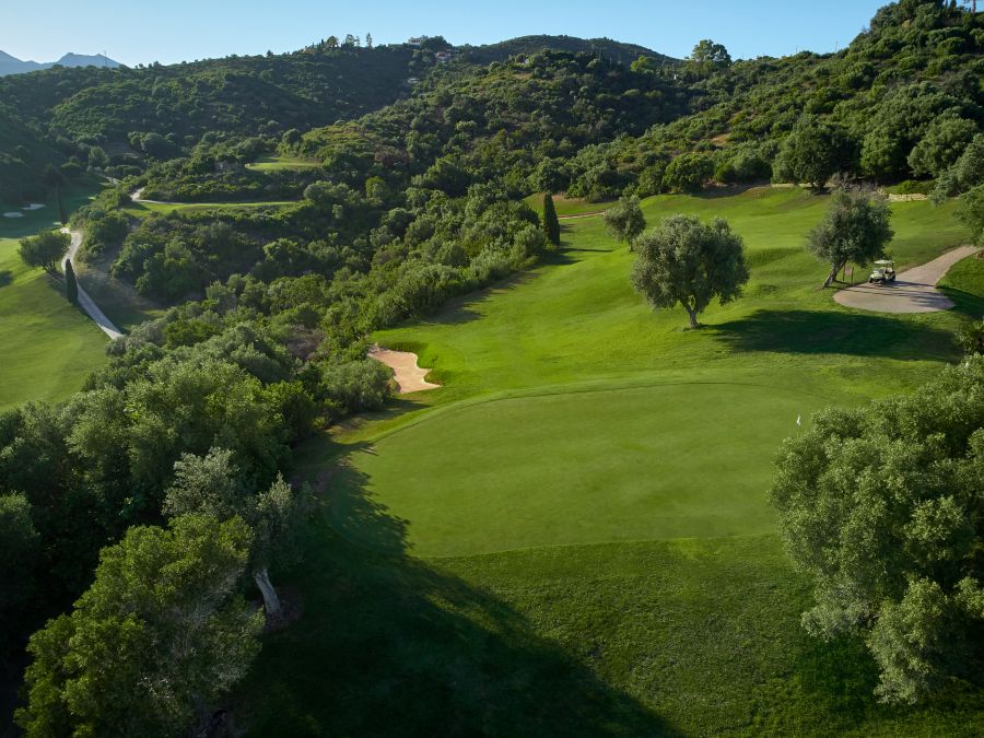 Trees surrounding the golf course at Higuerón Marbella Golf Resort