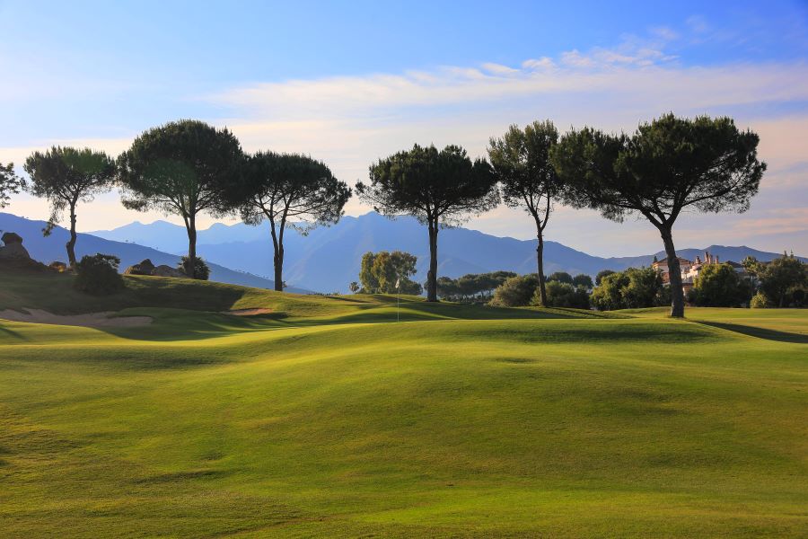Trees on fairway of Asia Course at La Cala Golf Resort