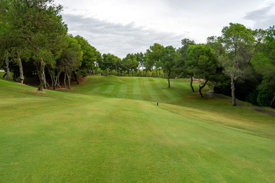 View from fairway to the green at Las Ramblas golf course