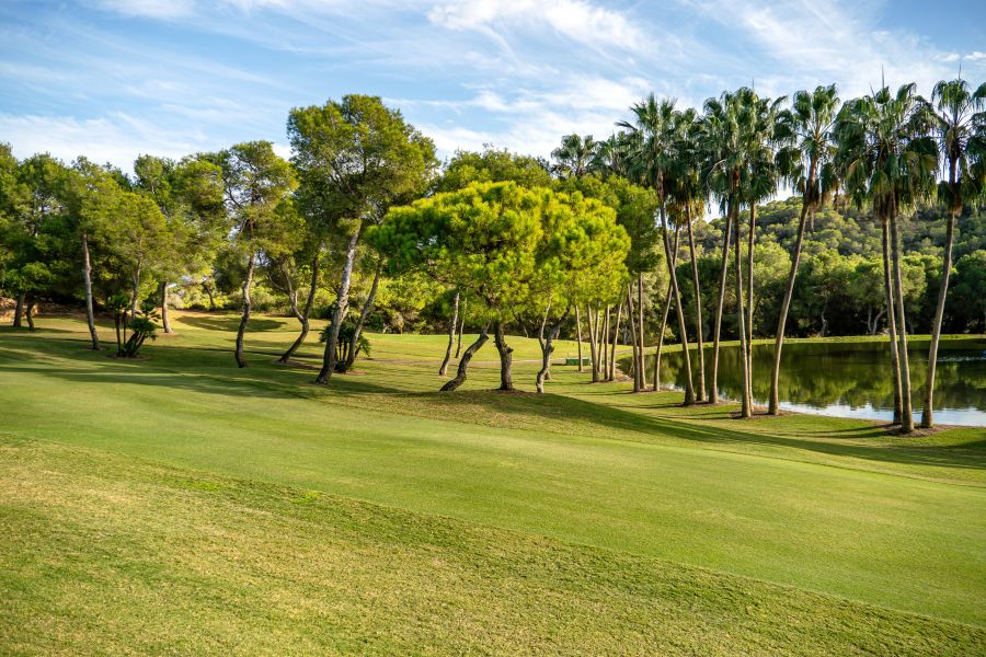 Lake to the right of the golf course covered by trees at Las Ramblas in Spain