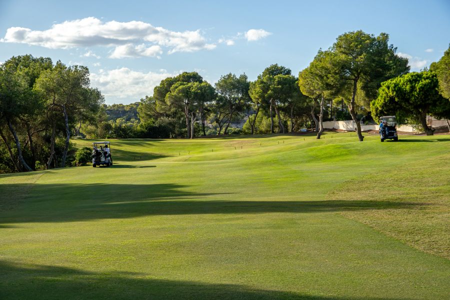 Trees in the background with blue sky overhead at Las Ramblas golf course in Spain