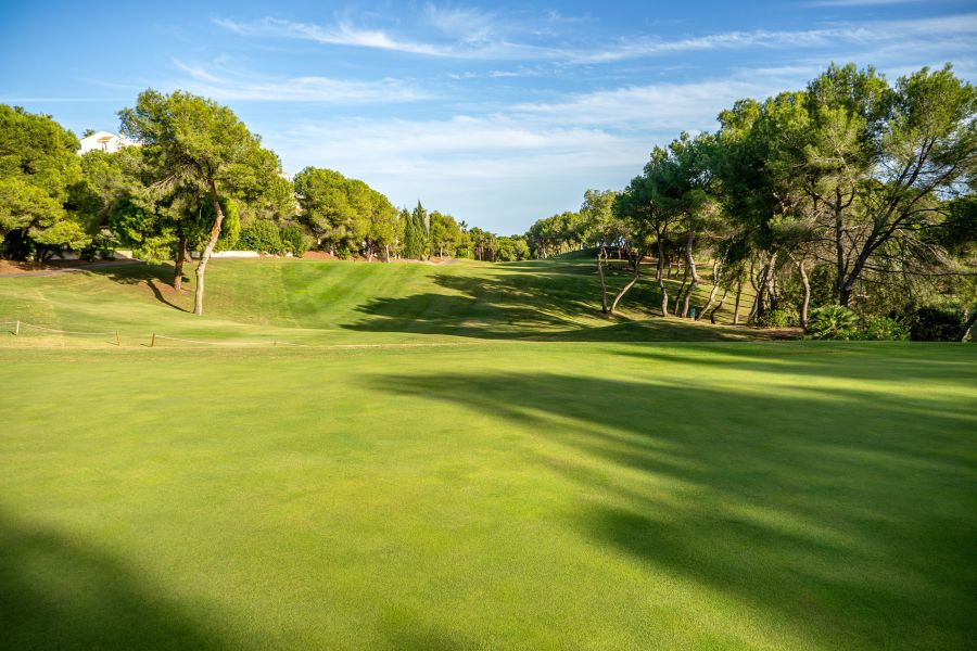Tree lined fairway at Las Ramblas golf in Spain