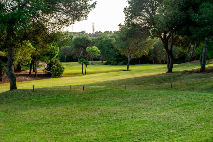 Las Ramblas Golf Course with large green trees overhanging onto the fairway