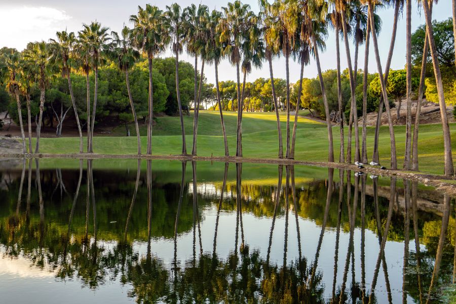 Water from lake in front of tall trees protecting Las Ramblas golf course in Spain