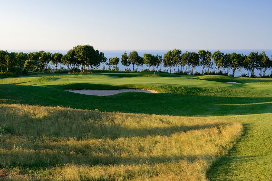 Trees behind the putting green at Lighthouse Golf Course in Balchik region in Bulgaria