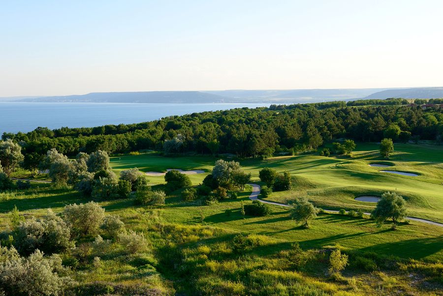 Trees and forest surrounding Lighthouse golf course in Bulgaria