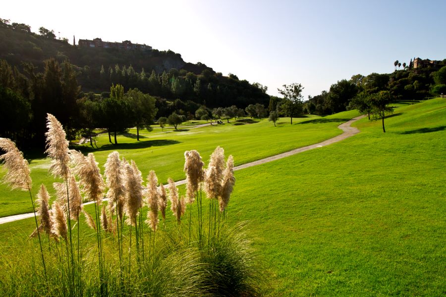 Plants in the foreground at Los Arqueros Golf & Country Club
