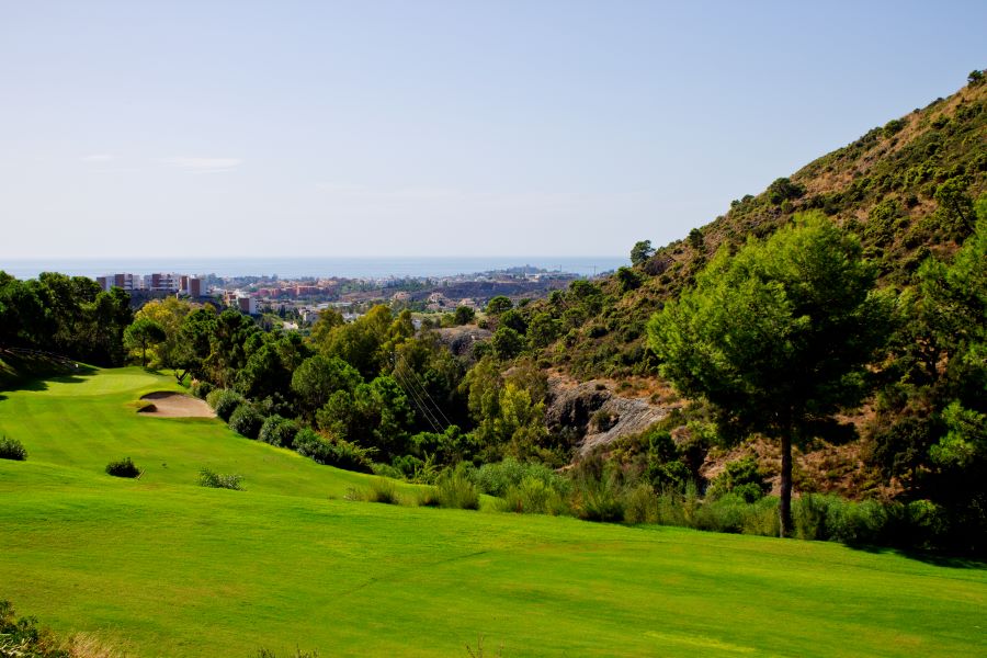 Tree to the right of the fairway at Los Arqueros Golf & Country Club