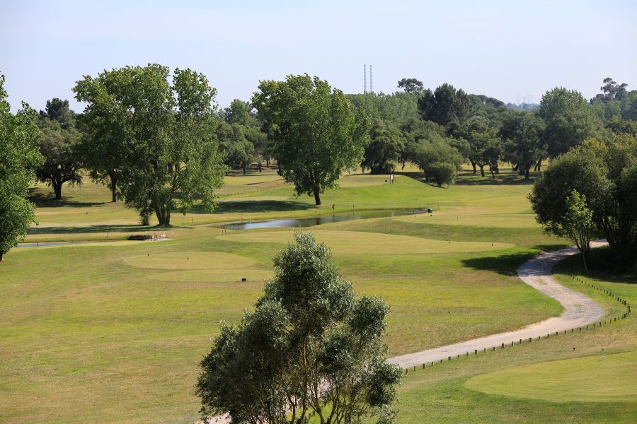 Trees on fairway at Montado Golf Course in Lisbon, Portugal