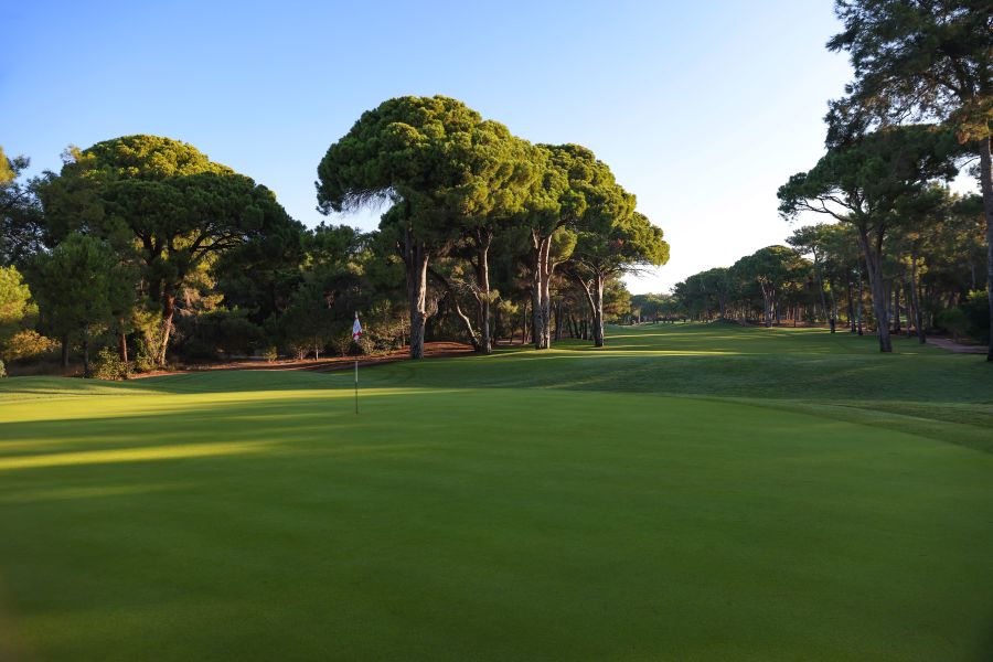 Putting green with white flag and trees in the background at National Golf Club