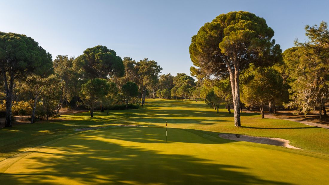 Green trees either side of the putting green at National Golf Club