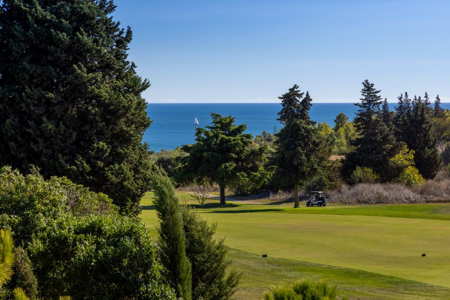 Large green trees protecting the fairways at Palmares Ocean and Living Golf Club