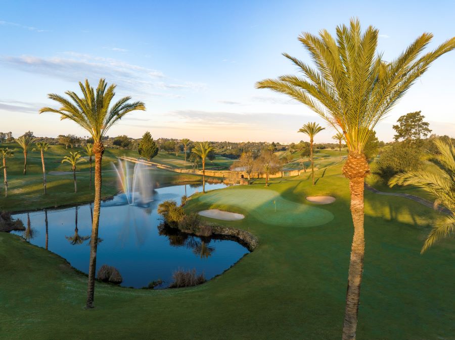Palm trees overlooking blue lake and green at Pestana Gramacho golf course