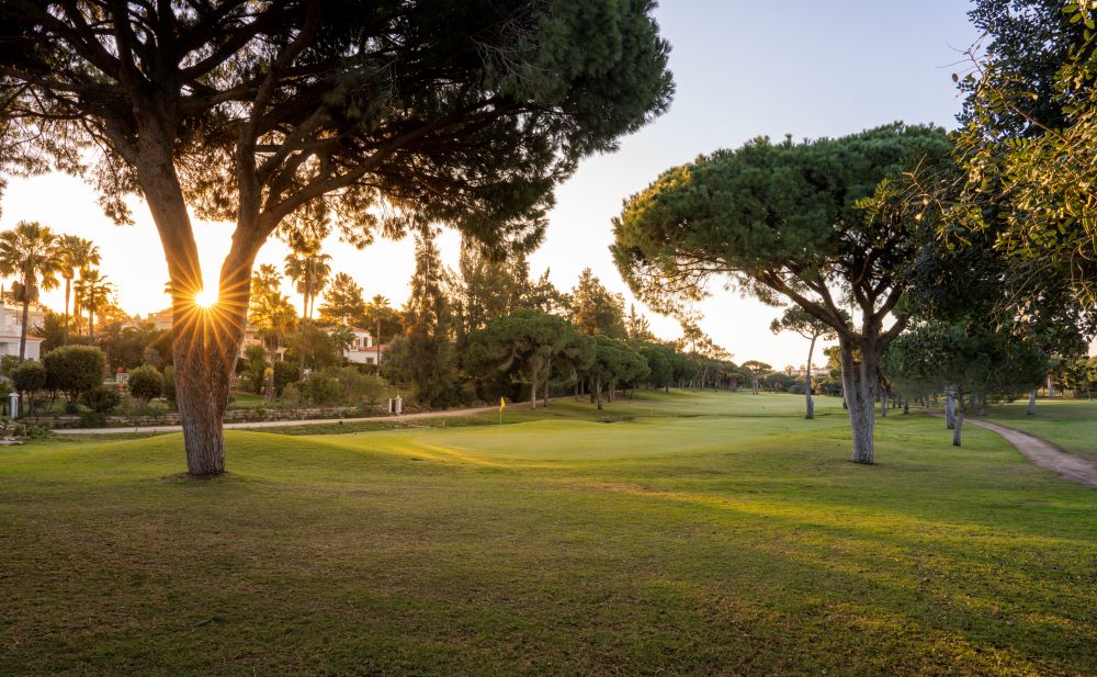 Sun peering through trees onto the green at Pestana Vila Sol golf course in Vilamoura