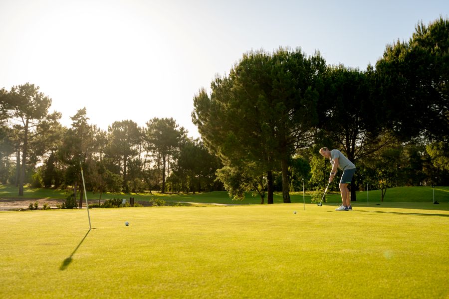 Large tree behind practice putting green at Quinta Do Peru, near Lisbon in Portugal