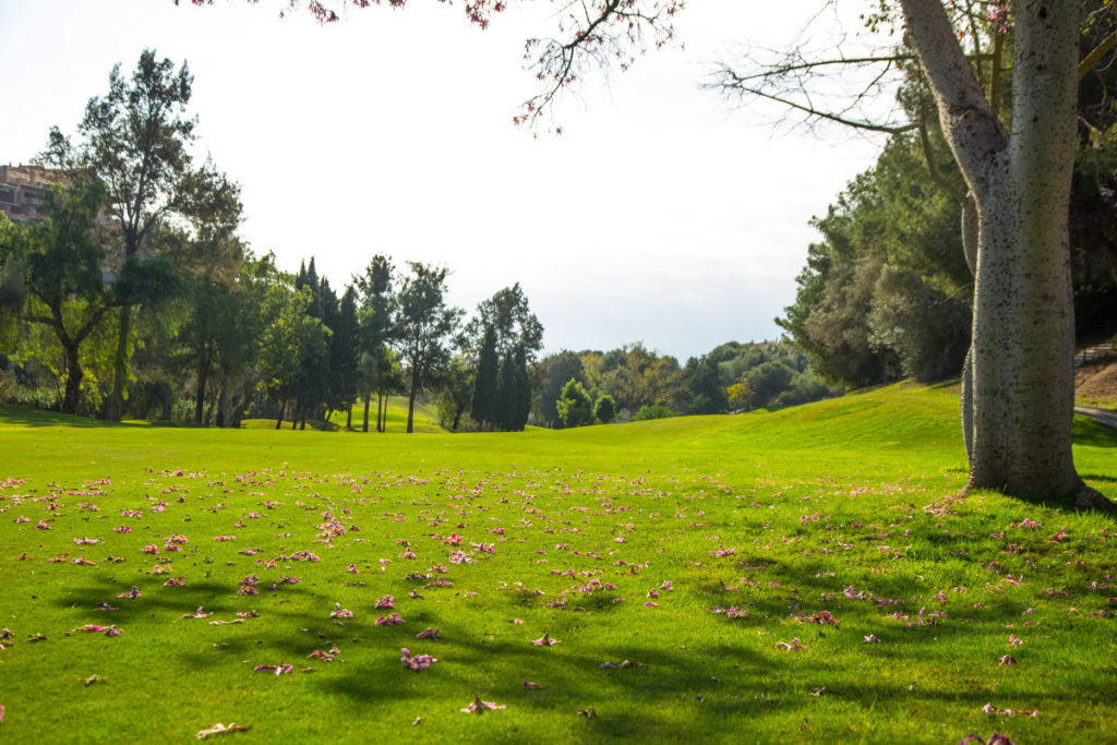 Leaves on the fairway at Santa Maria Golf And Country Club