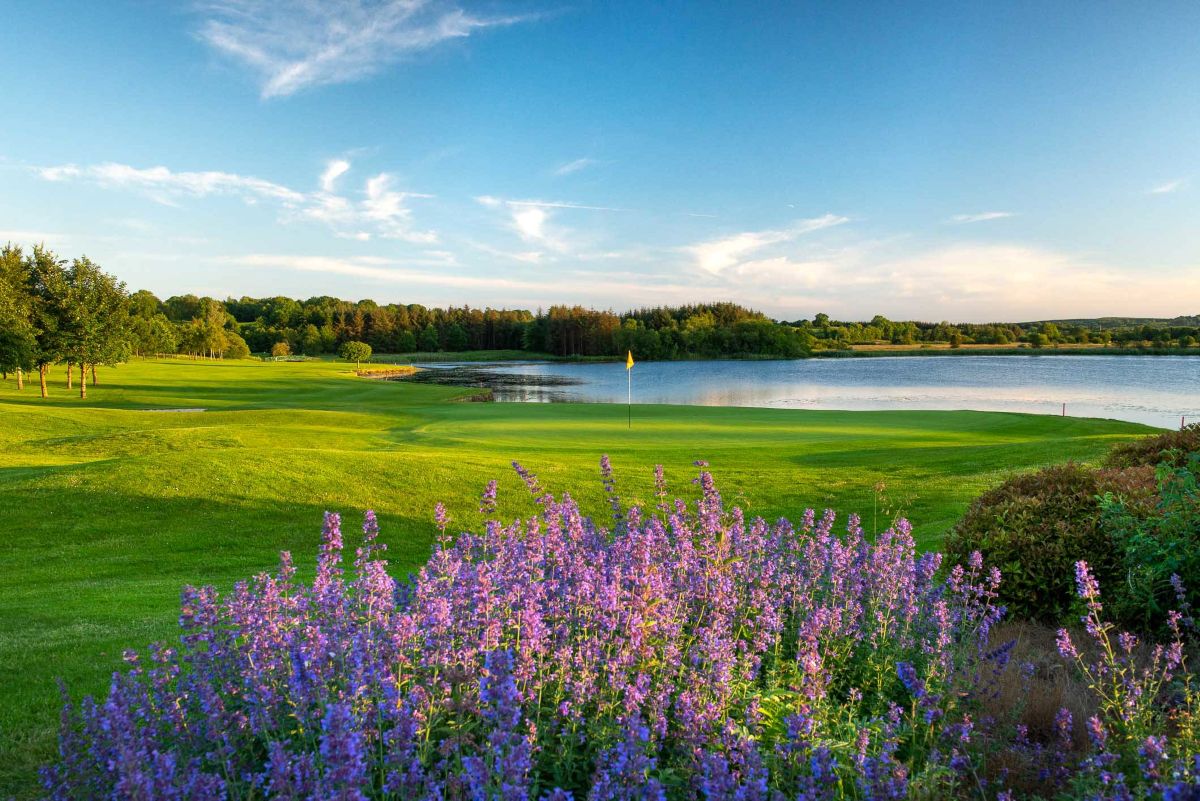 Purple flowers in the foreground at Slieve Russell Golf & Country Club