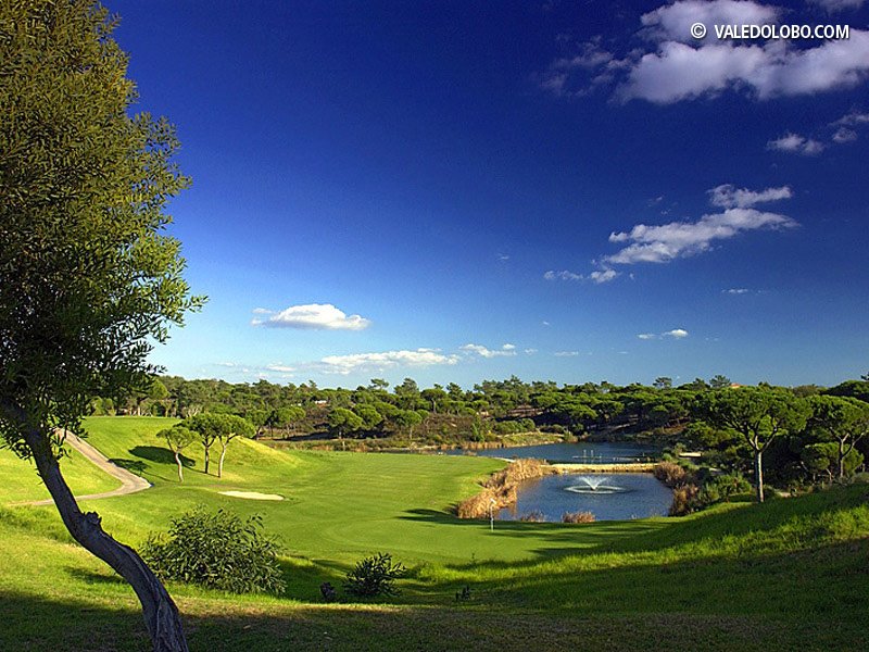 vale do lobo royal 4