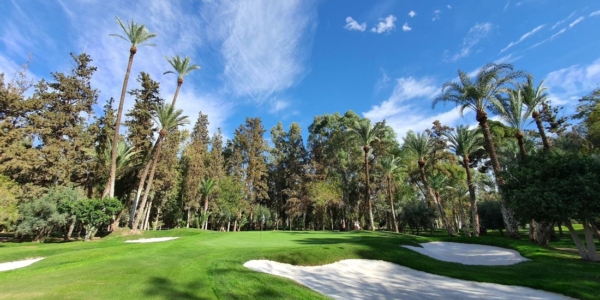 Royal Golf Marrakech with bunkers and trees surrounding the green