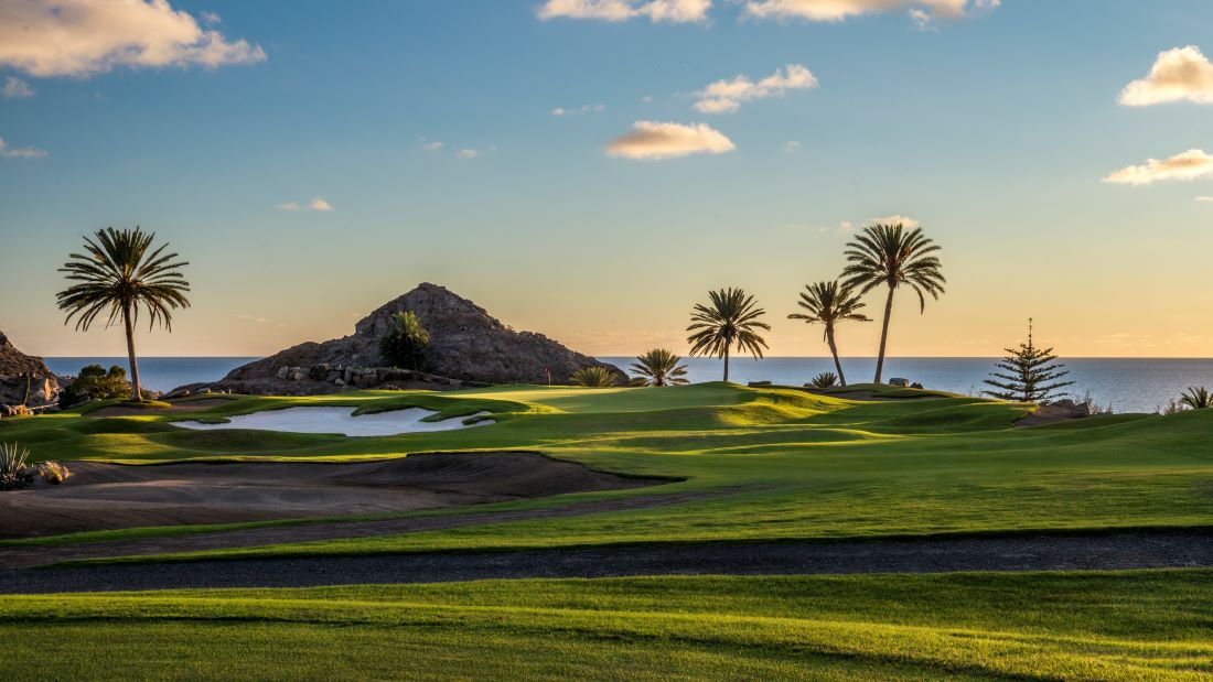 Palm trees, sea and large rock in the distance at Anfi Tauro Golf Club in Gran Canaria