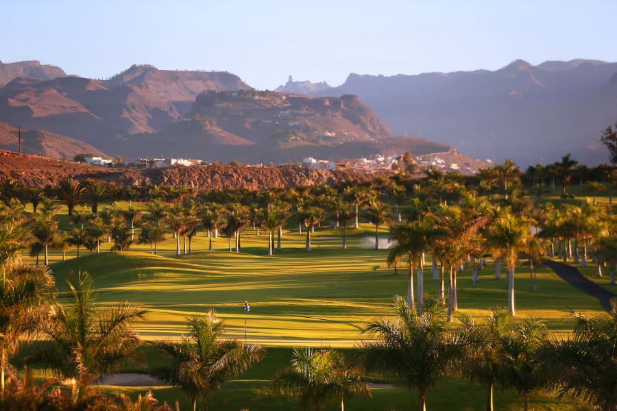 Trees surrounding golf course at Lopesan Melonares in Gran Canaria