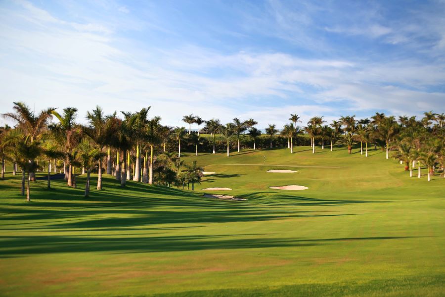 Palm trees to left of fairway at Lopesan Meloares
